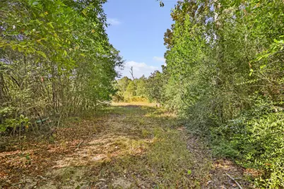 1224 Plum Pudding Road, Livingston, TX 77351 - Photo 8