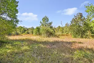 1224 Plum Pudding Rd, Livingston, TX 77351 - Photo 1