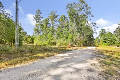 1224 Plum Pudding Road, Livingston, TX 77351 - Photo 6