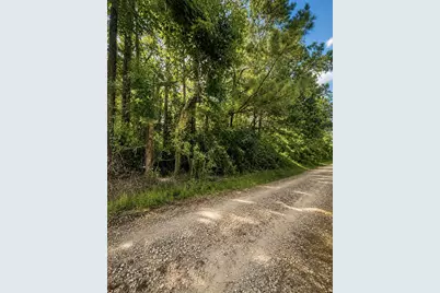 1224 Plum Pudding Road, Livingston, TX 77351 - Photo 2