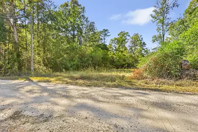 1224 Plum Pudding Road, Livingston, TX 77351 - Photo 4