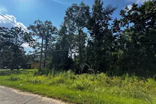 17632 Drowsy Pines, Conroe, TX 77306 - Photo 8