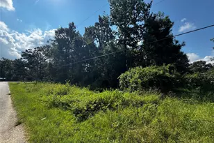 17632 Drowsy Pines, Conroe, TX 77306 - Photo 6