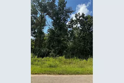 17632 Drowsy Pines, Conroe, TX 77306 - Photo 4