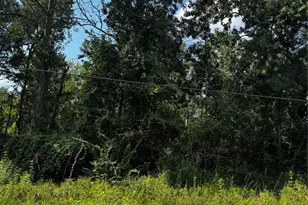 17632 Drowsy Pines, Conroe, TX 77306 - Photo 4