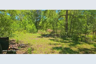 19588 Alford Road, Magnolia, TX 77355 - Photo 8