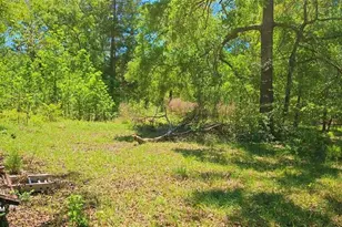 19588 Alford Rd, Magnolia, TX 77355 - Photo 8