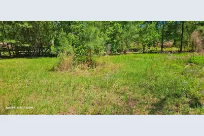 19588 Alford Road, Magnolia, TX 77355 - Photo 4