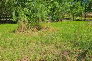 19588 Alford Rd, Magnolia, TX 77355 - Photo 4
