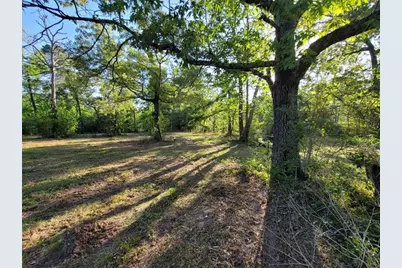 19588 Alford Road, Magnolia, TX 77355 - Photo 12