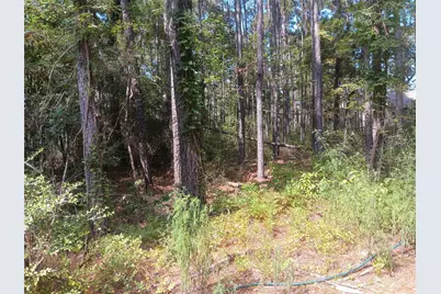 Lot 17 & 18 Honeylocust Lane, Plantersville, TX 77363 - Photo 4