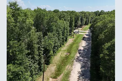 Lots 265-267 Knottypine, Livingston, TX 77351 - Photo 20