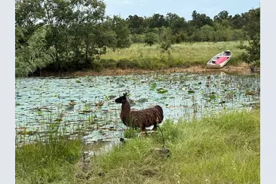 5403 Dry Creek, Calvert, TX 77837 - Photo 22
