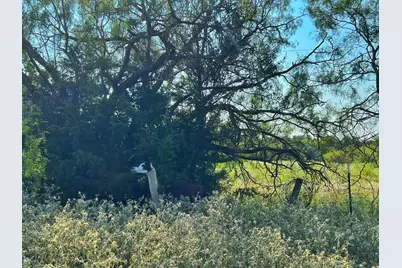 5403 Dry Creek, Calvert, TX 77837 - Photo 20