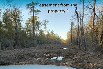 7915 Highway 69 N, Kountze, TX 77625 - Photo 4