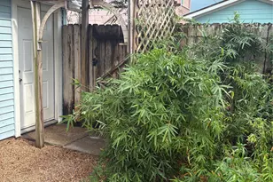 5325 Ave R 1/2, Galveston, TX 77551 - Photo 24