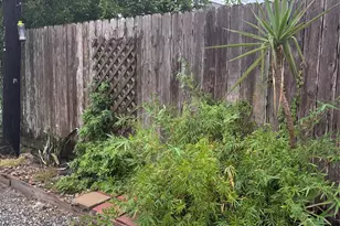 5325 Ave R 1/2, Galveston, TX 77551 - Photo 28