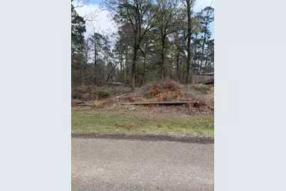 Lot 213 Dogwood Drive, Trinity, TX 75862 - Photo 4