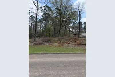 Lot 213 Dogwood Drive, Trinity, TX 75862 - Photo 1