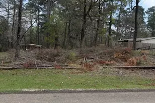 Lot 213 Dogwood Dr, Trinity, TX 75862 - Photo 1