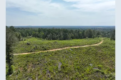 1 County Road 3725, Colmesneil, TX 75938 - Photo 12