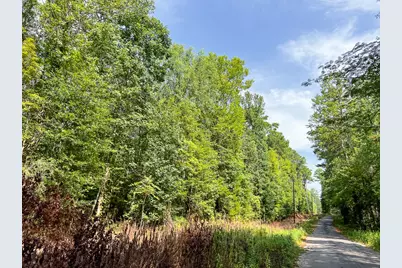 1 County Road 3725, Colmesneil, TX 75938 - Photo 24