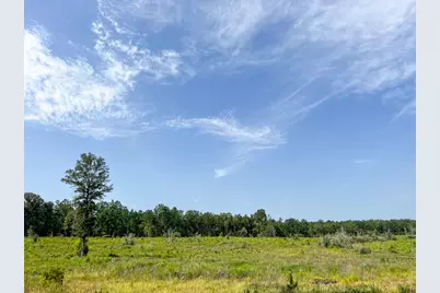 1 County Road 3725, Colmesneil, TX 75938 - Photo 30