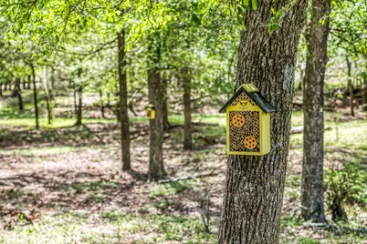 7108 Boehnemann, Brenham, TX 77880 - Photo 20