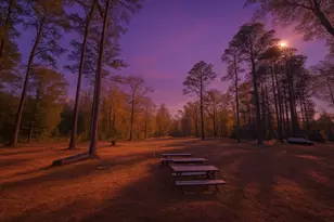 14280 FM 787, Cleveland, TX 77327 - Photo 4