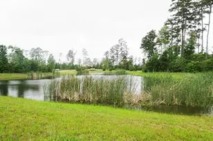 59 Triple Gap Dr, Tomball, TX 77375 - Photo 28
