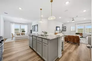 13404 Verbena Vis Trl, Houston, TX 77048 - Photo 2