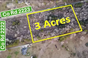 00 County Road 2223, Cleveland, TX 77327 - Photo 1