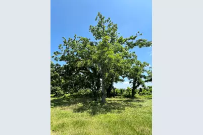 0 Oyster Creek Drive, Angleton, TX 77515 - Photo 6