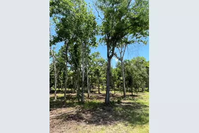 0 Oyster Creek Drive, Angleton, TX 77515 - Photo 12