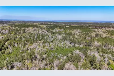 Tbd Fm 946, Coldspring, TX 77331 - Photo 14