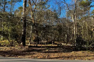 172 N Fairway Loop, Coldspring, TX 77331 - Photo 1