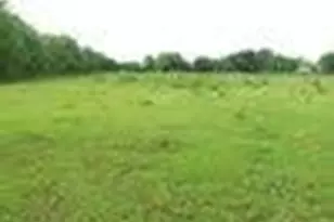 4147 Fuqua St, Houston, TX 77048 - Photo 6