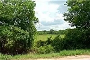 4147 Fuqua St, Houston, TX 77048 - Photo 2