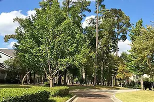 20188 Alden's Oak, Kingwood, TX 77339 - Photo 34