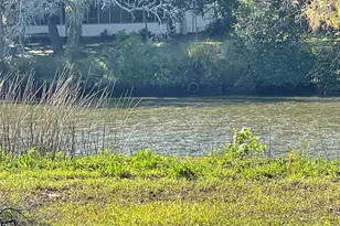 341 Cr 355, Elmaton, TX 77440 - Photo 8