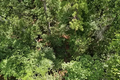 Tbd Coleman Drive, Splendora, TX 77372 - Photo 1