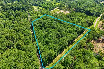 Tbd Coleman Drive, Splendora, TX 77372 - Photo 8