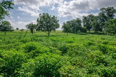 2734 Blue Hole Road, Bleiblerville, TX 78931 - Photo 32