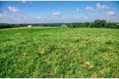 2734 Blue Hole Road, Bleiblerville, TX 78931 - Photo 30