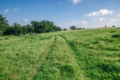 2734 Blue Hole Road, Bleiblerville, TX 78931 - Photo 36