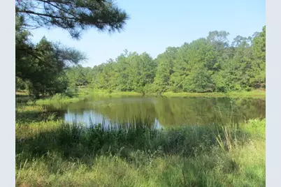 Tbd Tx-19, Huntsville, TX 77320 - Photo 16