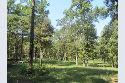 Tbd Tx-19, Huntsville, TX 77320 - Photo 20
