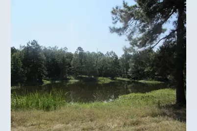 Tbd Tx-19, Huntsville, TX 77320 - Photo 1