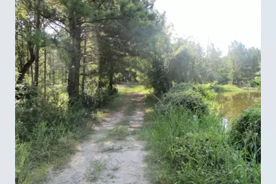 Tbd Tx-19, Huntsville, TX 77320 - Photo 12