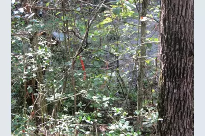 Tbd Tx-19, Huntsville, TX 77320 - Photo 24